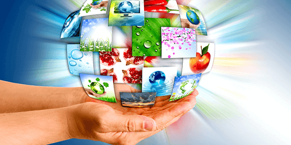 thiết kế web wordpress siêu thị mini