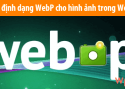 Sử dụng định dạng WebP cho hình ảnh trong WordPress